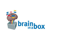 transform-hub-valued-client-brain-box